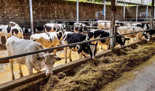 Agro TV’den Hayvancılık Sektörü İçin Kritik Ziyaret