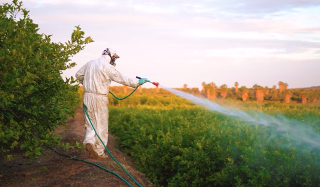 Edirne’de B-Reçete Dönemi Başlıyor: Üreticiye Kritik Uyarı