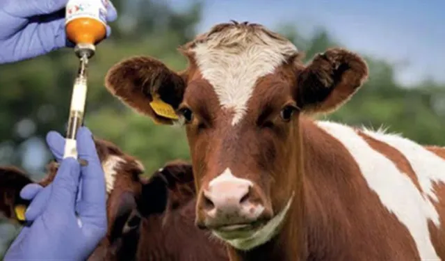 Iğdır’da Hayvancılık İçin Kritik Eğitim Hamlesi