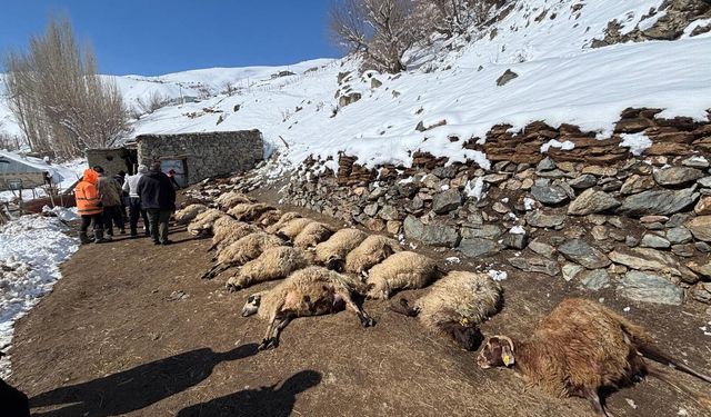 Başkale’de Ahır Yangını: 68 Hayvan Telef Oldu