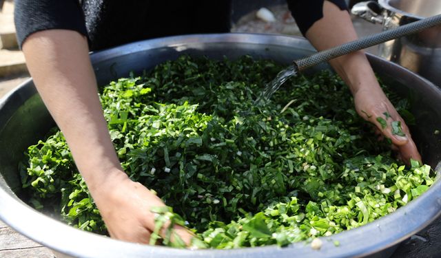 Adana’da Zehirli Yılan Pancarı Tırşik Haline Geliyor, İftar Sofralarına Lezzet Katıyor