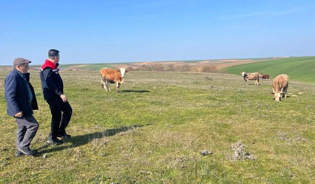 Meralarda Verimi Artıracak Hamle: Gübreleme Başladı