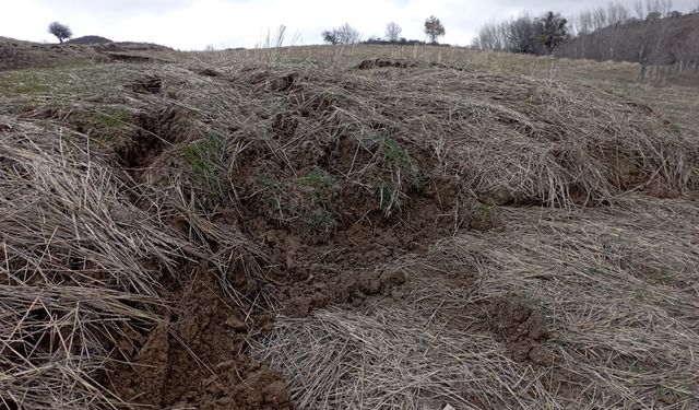 Yağış Felakete Döndü: Tarla Bir Anda Kaydı!