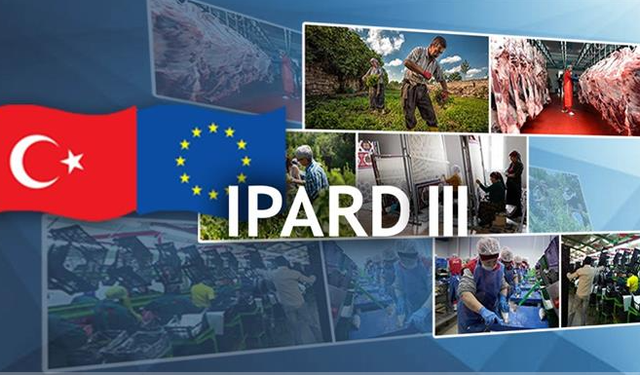 Kırsala Dev Hibe Desteği: 241 Milyon Avroluk Takvim Açıklandı