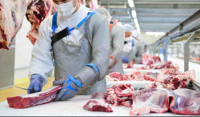 KIRMIZI ETTE BÜYÜK SKANDAL! 8 İLDE OPERASYON