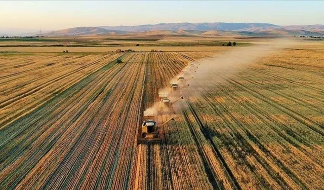 TARIMDA ARACI MALİYETLERİ