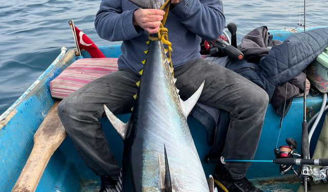Dev Orkinos Sevinci Kısa Sürdü: Rekor Avın Ardından Gelen Şok Ceza