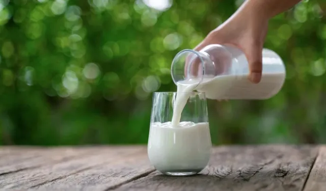 Çiğ Süt Maliyeti Nisan Ayında 28,35 TL Oldu