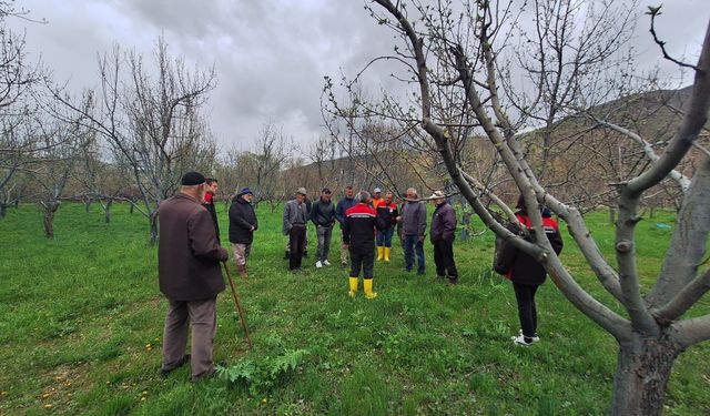 Ağaçta Verimi İkiye Katlıyor: Erzincan'da Dev Eğitim!