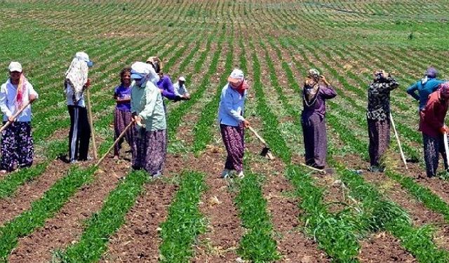 KADINLARIN TARIMSAL ÜRETİMDE DAHA GÖRÜNÜR VE ETKİN HALE GELMESİ