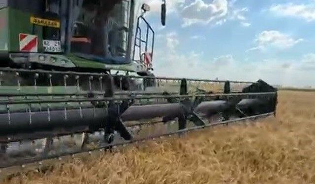 Biçerdöverler tarlaya girdi: İlk hasattan rekor verim!