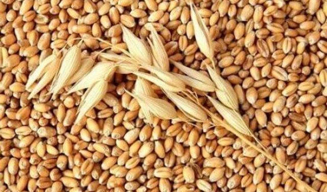 BUĞDAY VE ARPA ALIM FİYATLARI AÇIKLANDI!