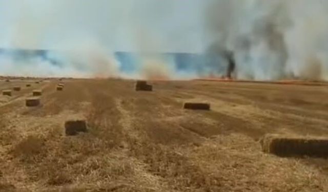 Nallıhan'da korkutan tarla yangını: Ekipler seferber oldu