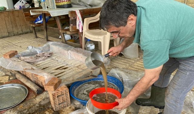 Aydın'da Bağ Bozumu: Asırlık Yöntemle Pekmez Mesaisi