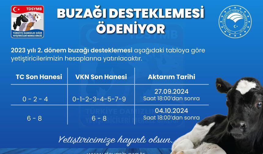 Buzağı Destekleri Ödeniyor, Kim Hangi Tarihte Alacak