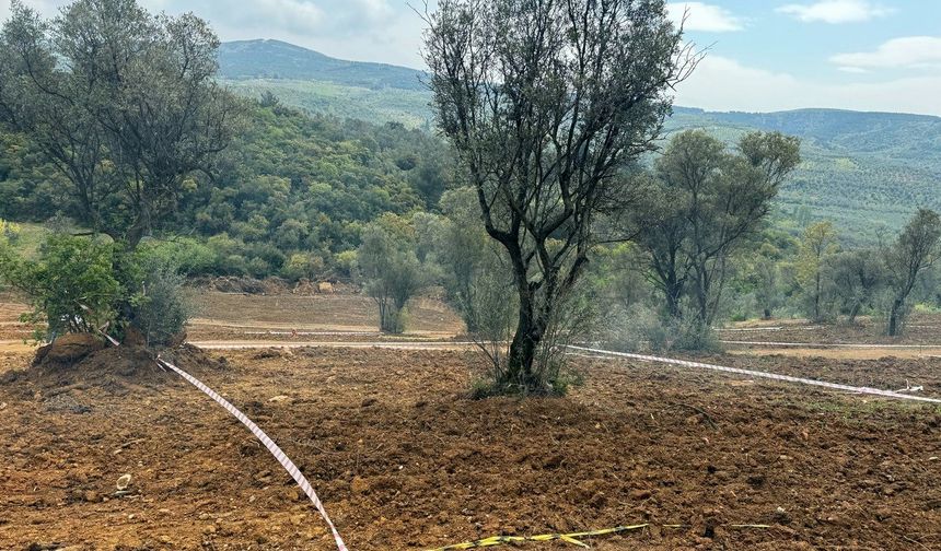 Tarım arazilerinde hisseli satışa dikkat: Yapılan satışlar kanunsuz olabilir