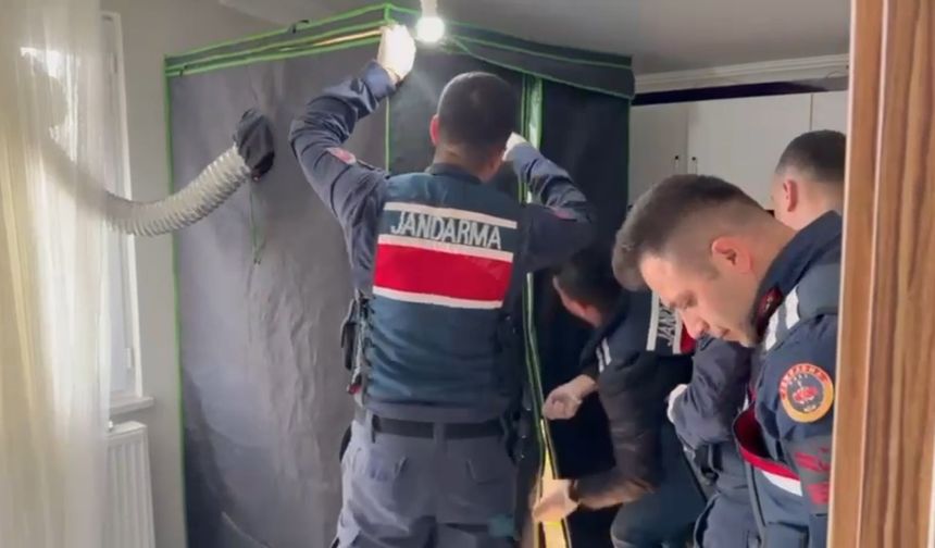 Elbise dolabından uyuşturucu serası çıktı: 4 kişi tutuklandı