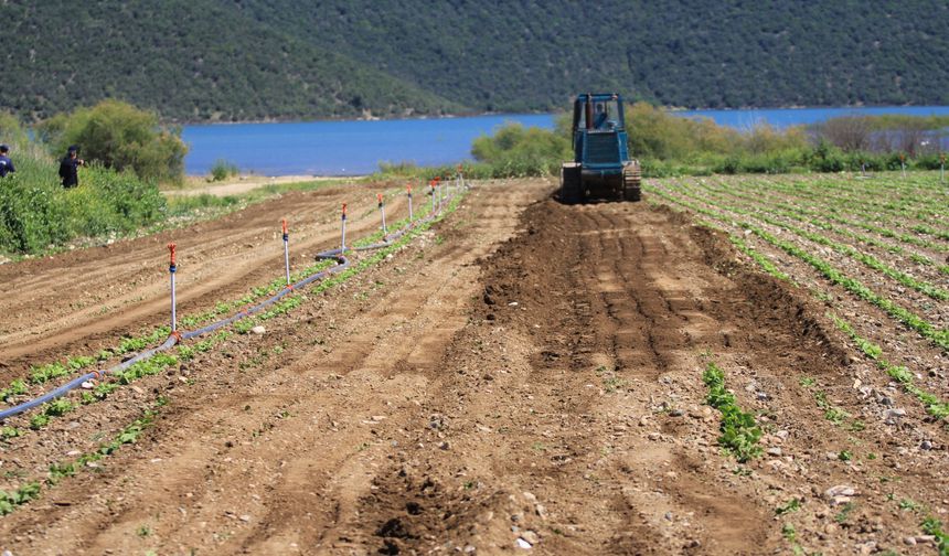 Devlet “ekin” diyor, DSİ arazi düzlüyor