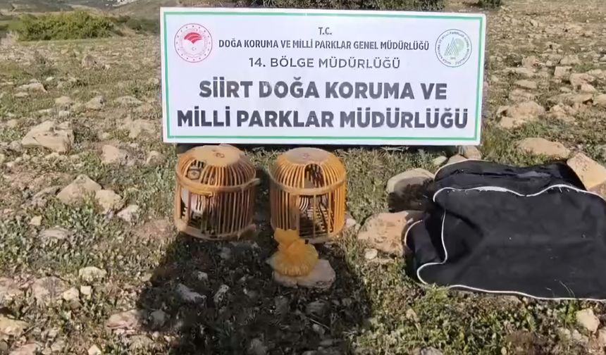 Kaçak keklik avına 63 bin lira ceza