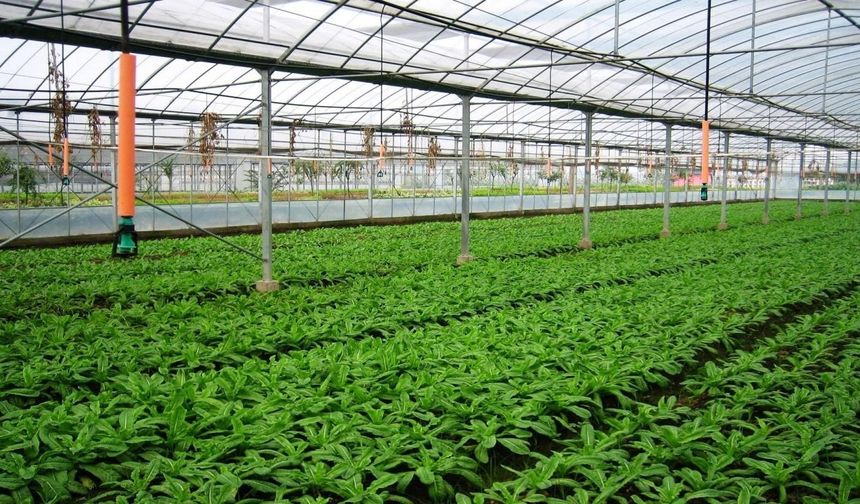 Şırnak’a 182 Milyon TL Tarımsal Kalkınma Hibesi