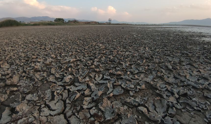 Kuraklık Tarımı Tehdit Ediyor: 2025 İçin Alınan Önlemler Neler?