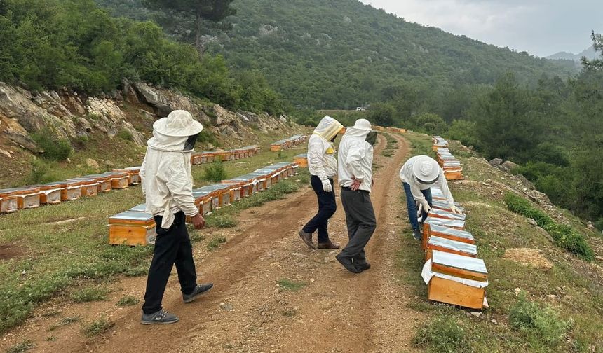 Adıyamanlı Arıcılar 2025 Yılı Bal Fiyatlarını Açıkladı