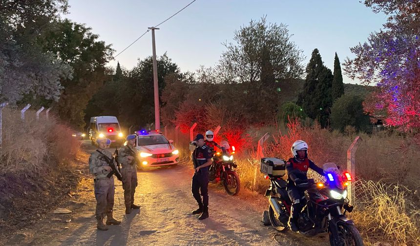 Aydın’da Jandarma İncir Hırsızlarına Göz Açtırmıyor