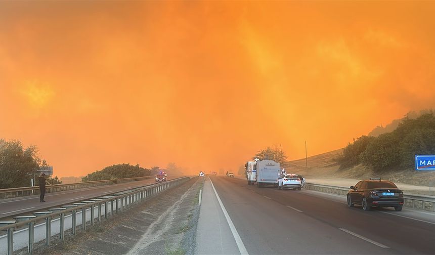 Bursa’da orman yangını büyüyor: Alevler hayvan çiftliklerine ilerliyor, yol kapatıldı
