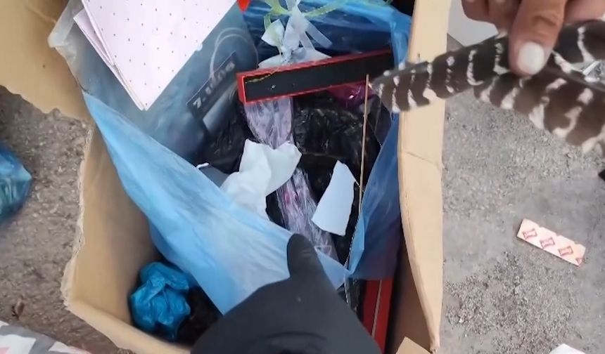 Çöpten Çıkanı Görünce Gözlerine İnanamadı! Değeri Tam 800 Bin TL...