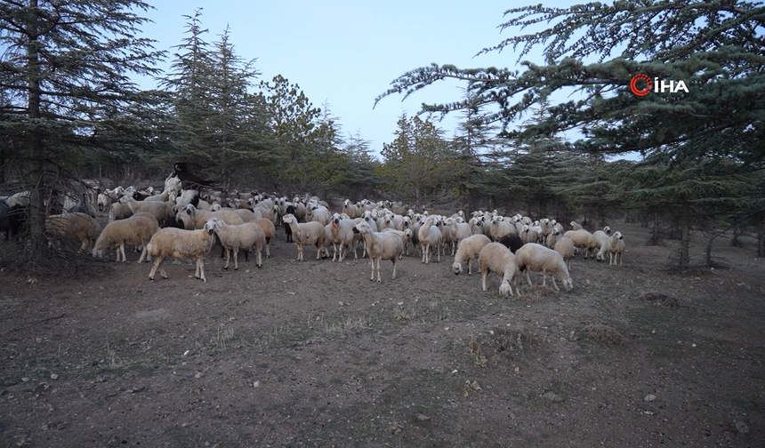 Keskin’de Mera Arazisi İmar İddiası: Belediyeye Soruşturma