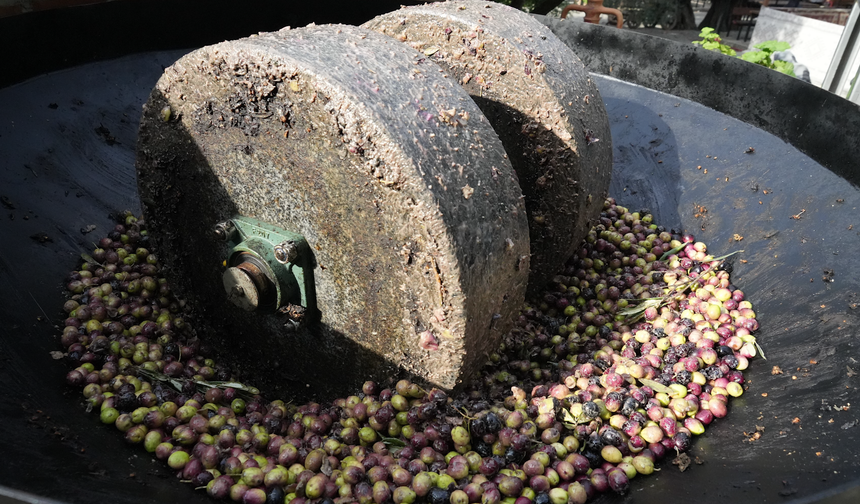 Ayvalık’ta 200 Yıllık Taş Baskı Mirası: Zeytinyağında Unutulan Yöntem Yeniden Hayat Buldu