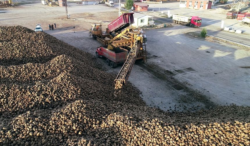 MEZRA ZİRAAT 2025 YILINDA 22 BİN 500 DEKARA ULAŞTI