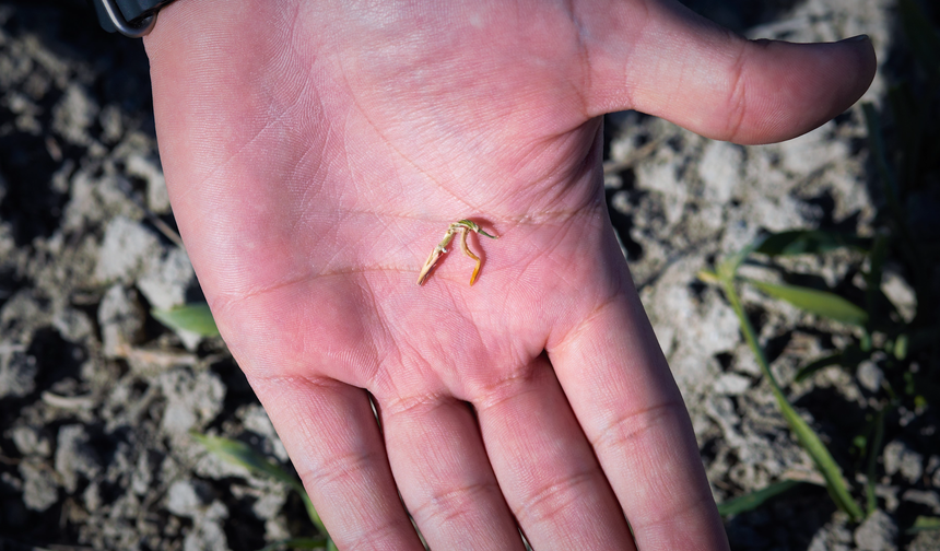 Konya Ovası Alarm Veriyor: Yağışlardaki Büyük Düşüş Yeni Sezonu Tehdit Ediyor