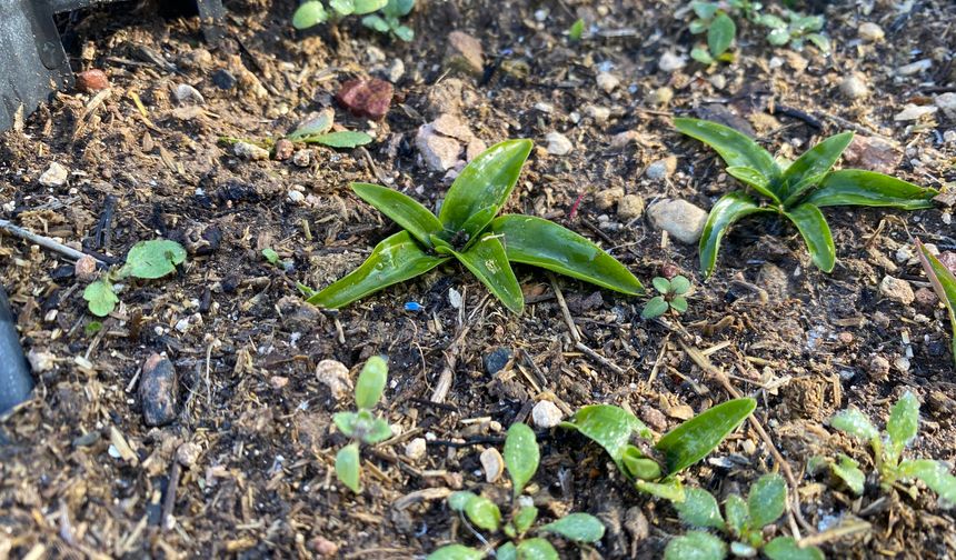 Toprağın Altındaki Sır, Eskişehir’de Gün Yüzüne Çıkıyor