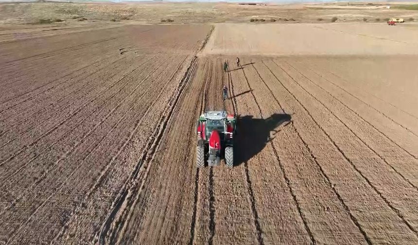 TZOB Açıkladı: 2025’te Limon Zam Şampiyonu