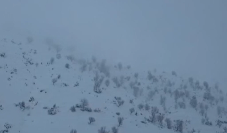 Batman’da Çığ Felaketi: Ağıl Çöktü, 45 Keçi Telef Oldu