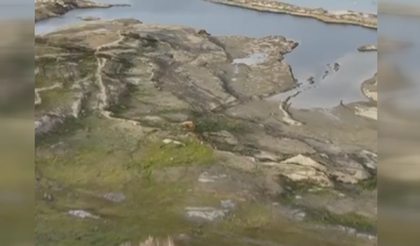 Tekirdağ’da Sessiz Tehlike: Naip Barajı Dibe Vurdu