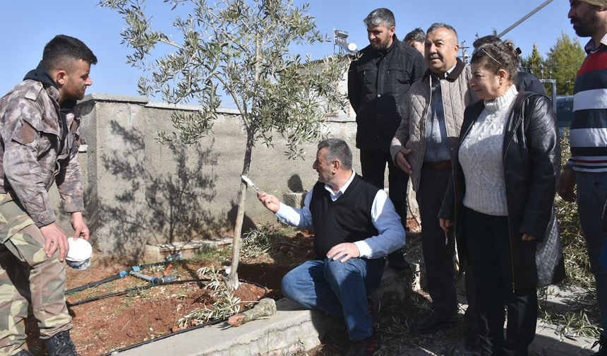 Şahinbey’de Çiftçiye Budama Desteği: Verim Hedefleniyor