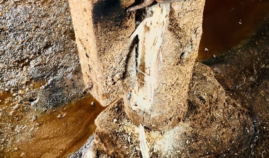 Yozgat’ta Bir Akşamda Felaket: Yıldırım Düştü, Hayvanlar Telef Oldu