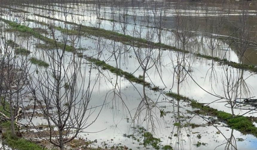 Elma Bahçeleri Göle Döndü: Üretici Yağışla Sevindi