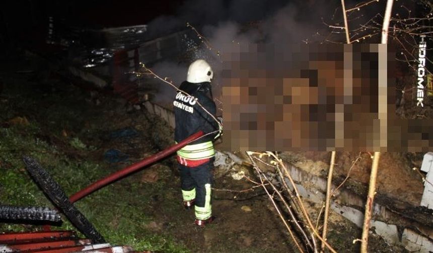 Ünye’de Ahır Yangını: 27 Büyükbaş Hayvan Telef Oldu