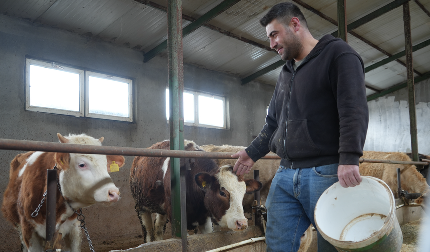 Yem Desteği Nefes Aldırdı: Üretici Maliyetlerden Kurtuldu