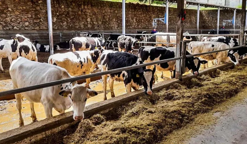 Agro TV’den Hayvancılık Sektörü İçin Kritik Ziyaret