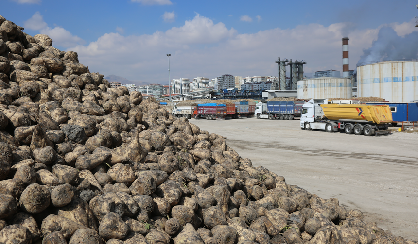 KONYA ŞEKER’DEN ÜRETİCİYE TOPLAM 12 MİLYAR 780 MİLYON 545 BİN TL’LİK DEV ÖDEME