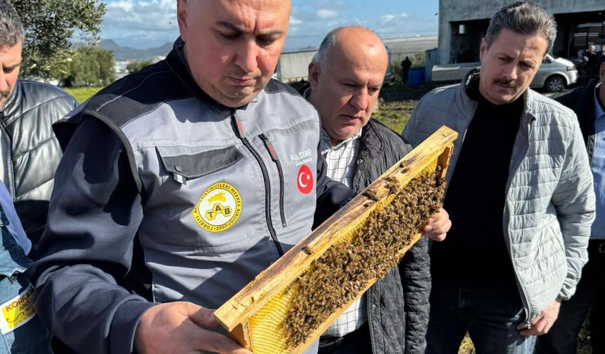 Koloni Azaldı Ancak Bal Üretimi Arttı