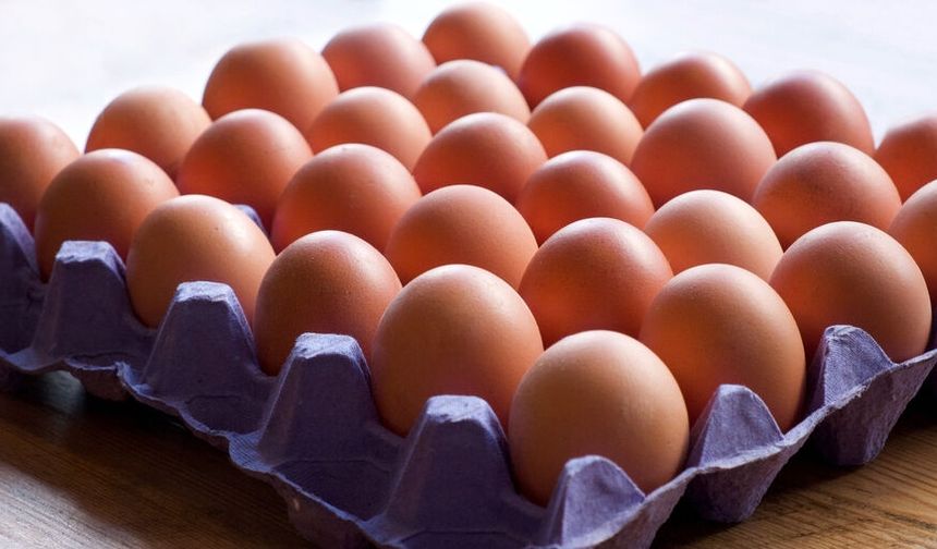 YUMURTA ÜRETİMİNDE SON 3 YILIN REKORU