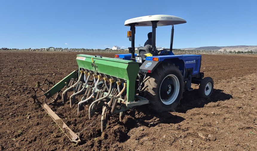 Gaziantep’te Nohut Ekim Mesaisi Başladı