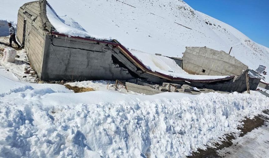 Kar Yüküne Dayanamadı: Ahır Çöktü, Facia Kıl Payı