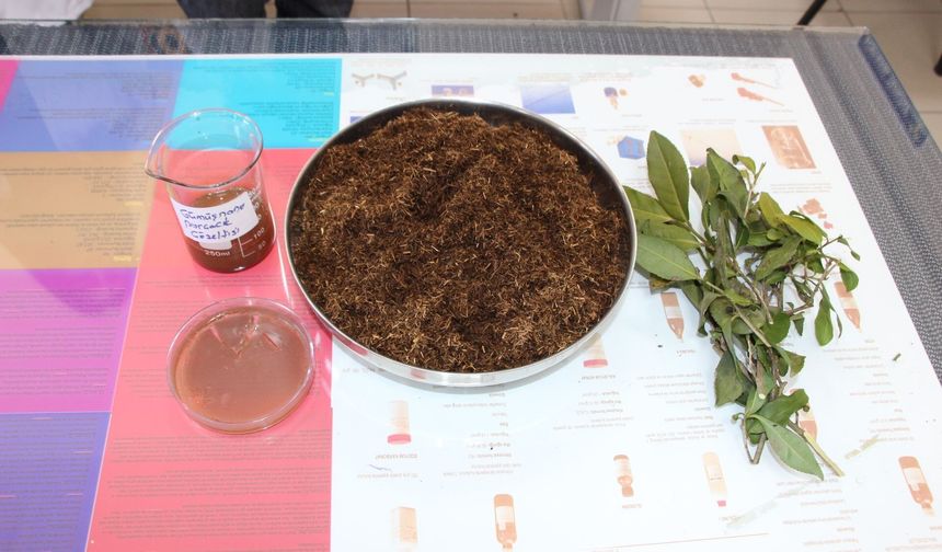 Çay Atığından Devrim: Yüzde 100’e Yakın Koruma!