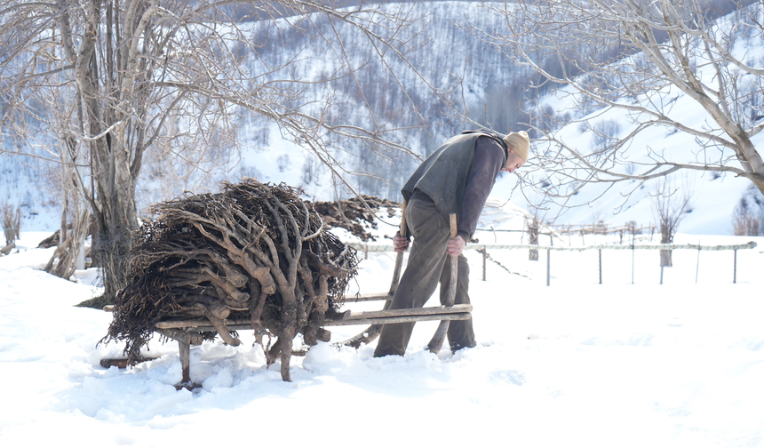 Muş’ta Geven Otu Geleneği Sürüyor
